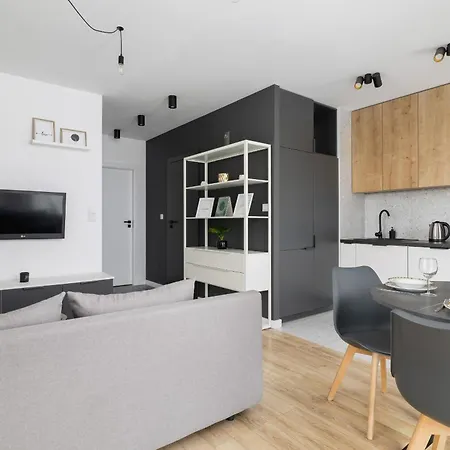 Black And Grey In Cracow With Balcony, Parking And Desk By Renters Appartement *
